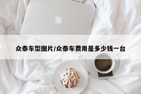众泰车型图片/众泰车费用是多少钱一台