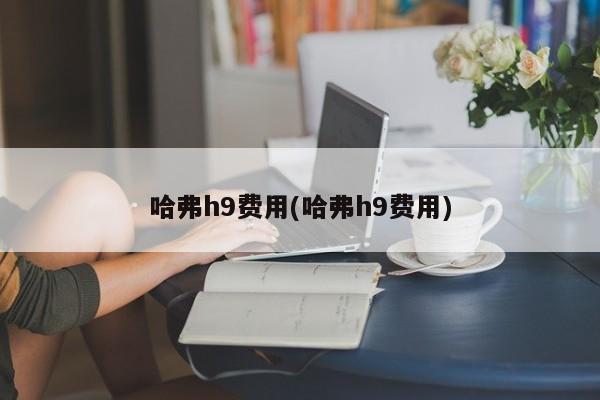 哈弗h9费用(哈弗h9费用)
