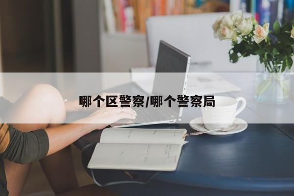 哪个区警察/哪个警察局